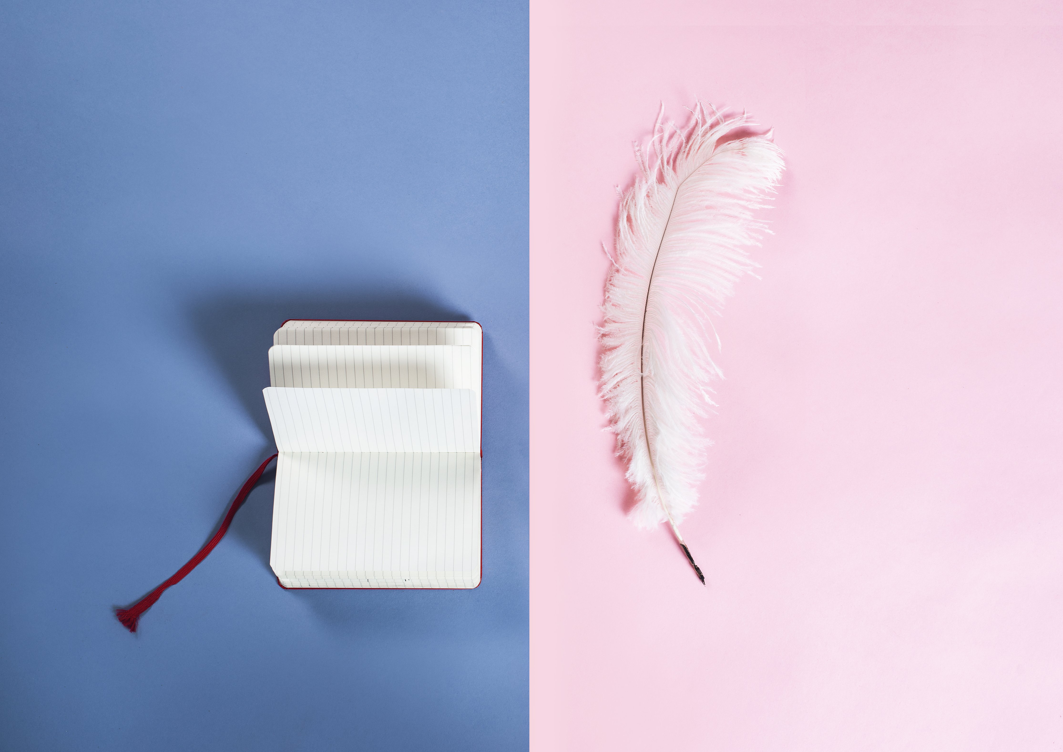 contrast-in-colours-with-notebook-and-feather
